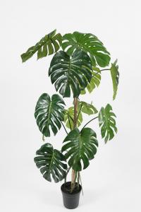 Monstera - 150 cm - www.frokenfraken.se