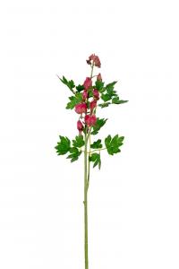 Löjtnantshjärta - Rosa - 60 cm - www.frokenfraken.se