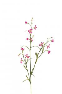 Campanula - Lila - 80 cm - www.frokenfraken.se