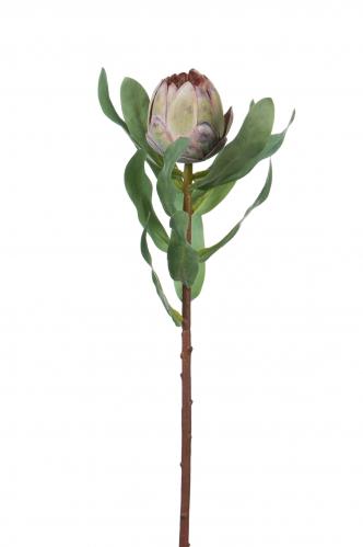 Protea - Lila - 45 cm - www.frokenfraken.se