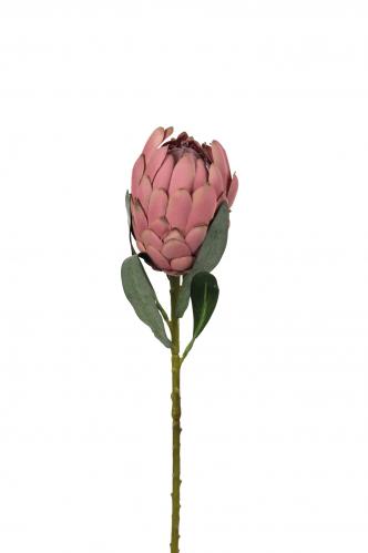 Protea - Rosa - 60 cm - www.frokenfraken.se