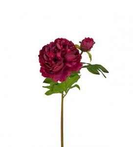Pion - Burgundy - 65 cm - www.frokenfraken.se
