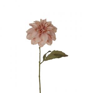 Dahlia - Rosa - 50 cm - www.frokenfraken.se
