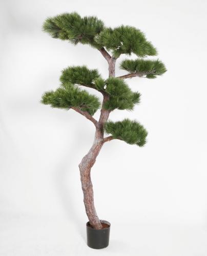 Tall - Pine Tree - 195 cm - www.frokenfraken.se