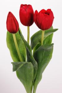 Tulpaner - 3-pack - Röd - 36 cm - www.frokenfraken.se
