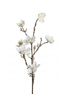 Magnolia med snö - Vit - 85 cm - www.frokenfraken.se