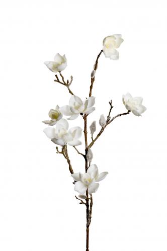 Magnolia med sn - Vit - 85 cm - www.frokenfraken.se