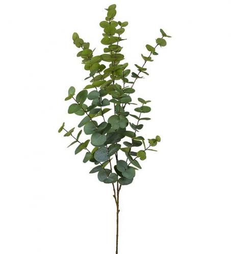 Eucalyptus - Grn - 145 cm - www.frokenfraken.se