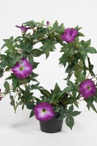 Blomma för dagen - Lila - 35 cm - www.frokenfraken.se