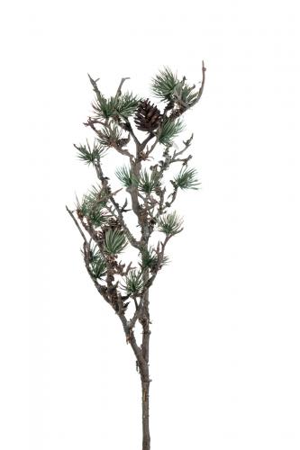 Lärk - 75 cm - www.frokenfraken.se