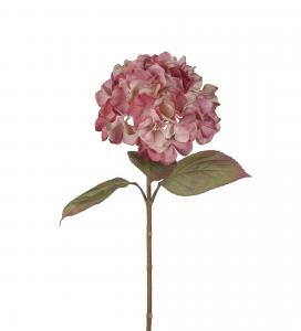 Hortensia - Rosa - 65 cm - www.frokenfraken.se