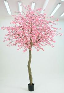 Körsbärsträd - 350 cm - Rosa - www.frokenfraken.se