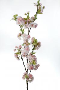 Körsbärskvist - Rosa - 120 cm - www.frokenfraken.se