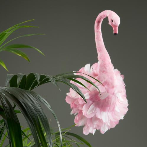 Flamingo fr vgg - Flamhuvud Rosa - 65 cm - www.frokenfraken.se