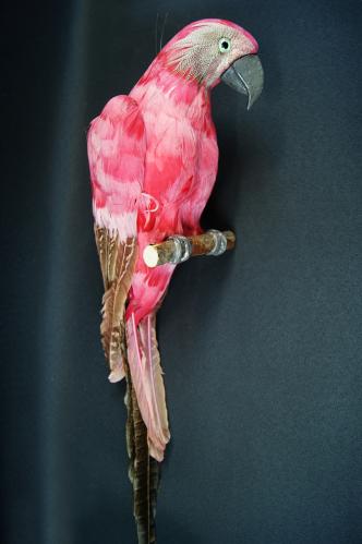 Papegoja - Rosa - Stor hngande - 53 cm - www.frokenfraken.se