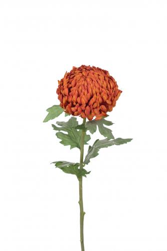 Chrystanthemum - Orange - 70 cm - www.frokenfraken.se