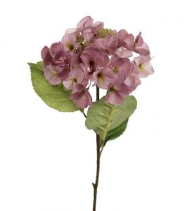 Hortensia - Mörkrosa - 45 cm - www.frokenfraken.se