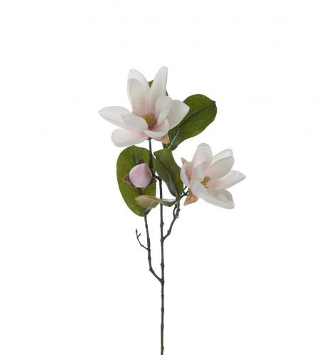 Magnolia - Rosa - 70 cm - www.frokenfraken.se