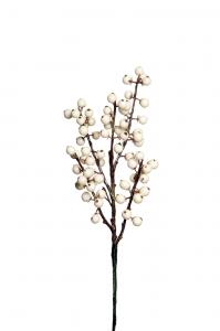 Bärkvist - Vit - 35 cm - www.frokenfraken.se
