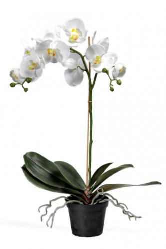 Phalaenopis - Orkidé Vit - Konstväxt - 55 cm - www.frokenfraken.se