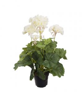 Pelargon Mårbacka - Vit - 40 cm - www.frokenfraken.se