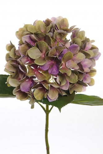 Hortensia - Lila - 65 cm - www.frokenfraken.se