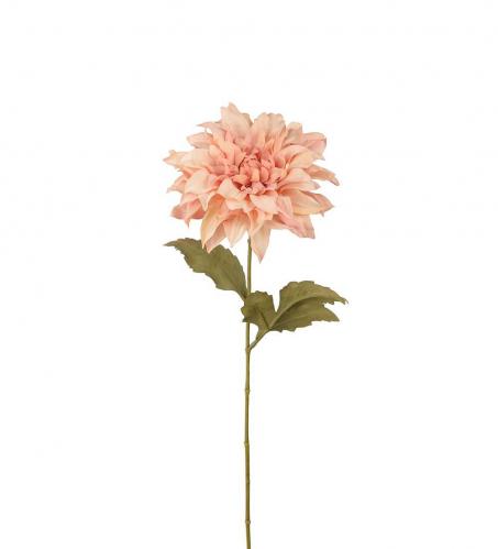 Dahlia - Rosa - 60 cm - www.frokenfraken.se