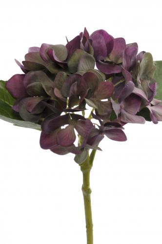 Hortensia - Plommon/Grn - 25 cm - www.frokenfraken.se