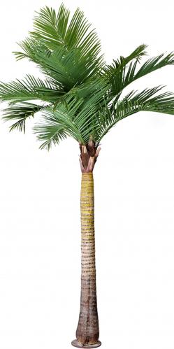 Palm - Grn - 370 cm - www.frokenfraken.se
