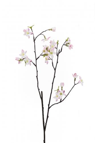 Körsbärsblom - Rosa - 60 cm - www.frokenfraken.se