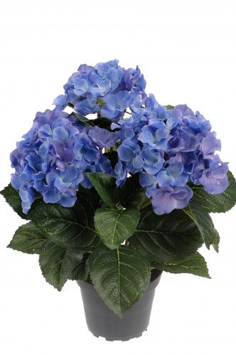 Hortensia - Bl - 30 cm - www.frokenfraken.se