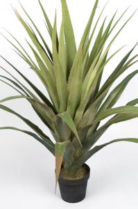 Agave - 110 cm - www.frokenfraken.se