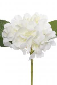 Hortensia - Vit - Ø12 x 25 cm - www.frokenfraken.se