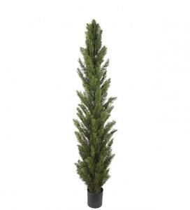 Cypress - Grön - 180 cm - www.frokenfraken.se