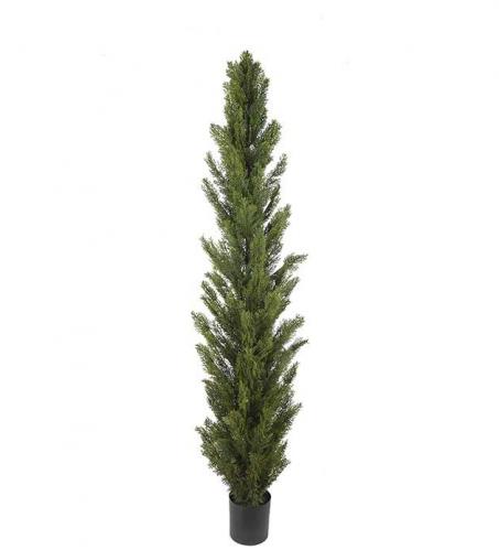 Cypress - Grn - 180 cm - www.frokenfraken.se