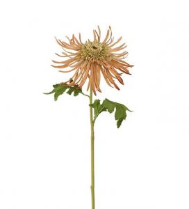 Chrysanthemum - Brun - 60 cm - www.frokenfraken.se