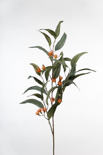 SKRP-Eucalyptus - Orange - 100 cm - www.frokenfraken.se