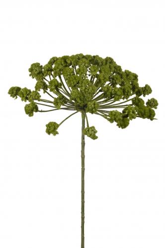 Allium - Grn - 85 cm - www.frokenfraken.se