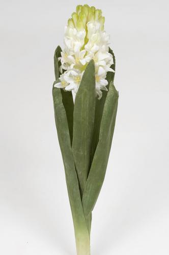 Hyacint - Vit - 35 cm - www.frokenfraken.se