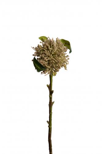 Allium - Brun - 40 cm - www.frokenfraken.se