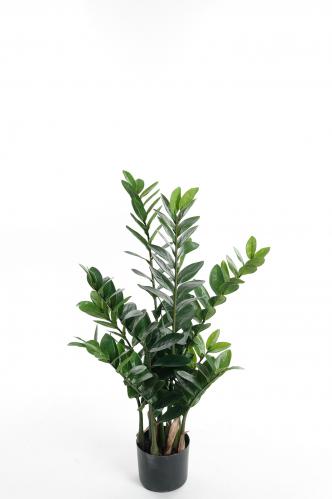 Zamifolia - Grn - 90 cm - www.frokenfraken.se