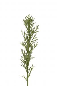 Kvist - Grön - 65 cm - www.frokenfraken.se