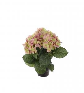 Hortensia - Rosa - 30 cm - www.frokenfraken.se