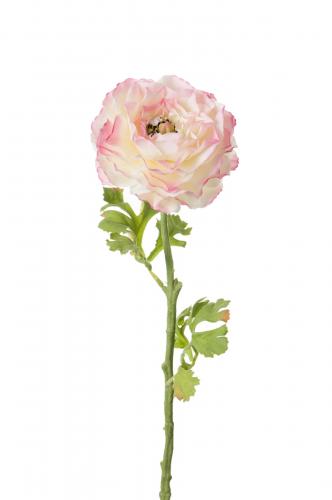 Ranuncel - Rosa - 50 cm - www.frokenfraken.se