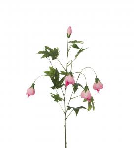 Blomsterlönn - Rosa - 80 cm - www.frokenfraken.se