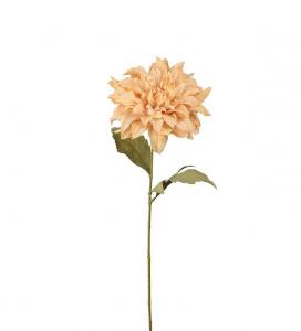 Dahlia - Beige - 60 cm - www.frokenfraken.se