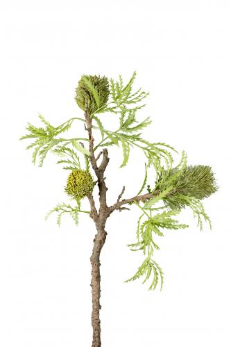 Banksia - Grn - 85 cm - www.frokenfraken.se
