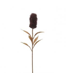 Banksia - Burgundy - 75 cm - www.frokenfraken.se