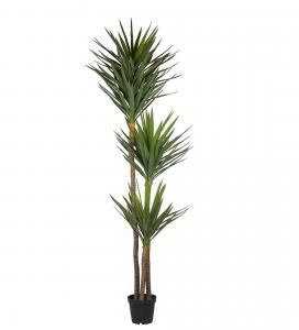 Yucca - Grön - 250 cm - www.frokenfraken.se