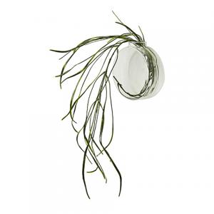 Vas för vägg - Cirkel - Ø12 cm - www.frokenfraken.se